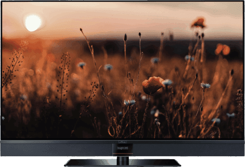 Metz Aurus 55 FA63 OLED twin